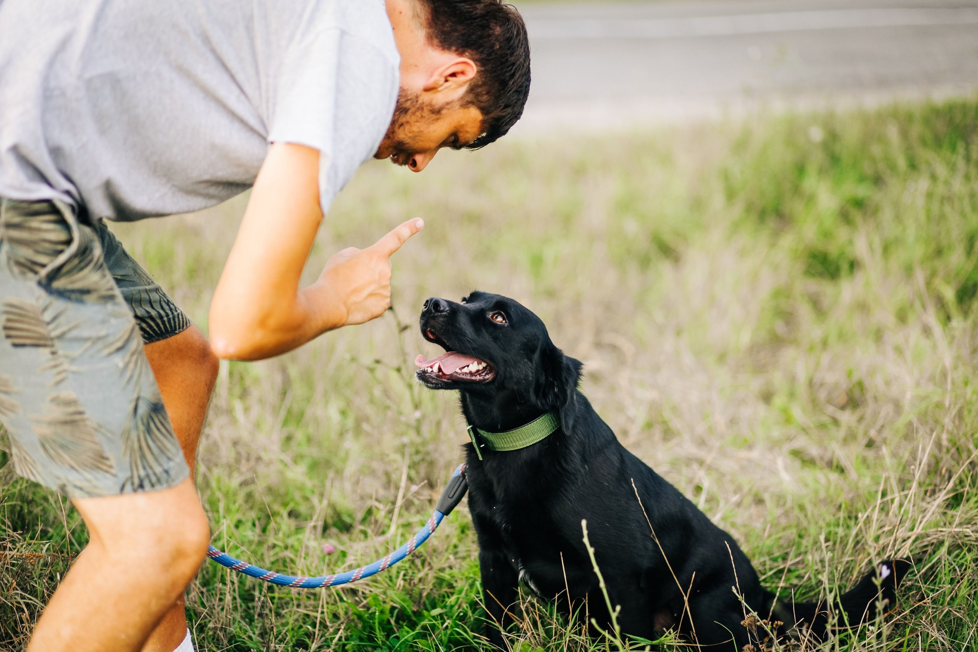 Man training a dog